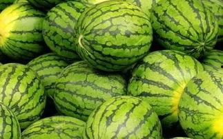 帮帮吃瓜,揭秘娱乐圈那些不为人知的幕后故事