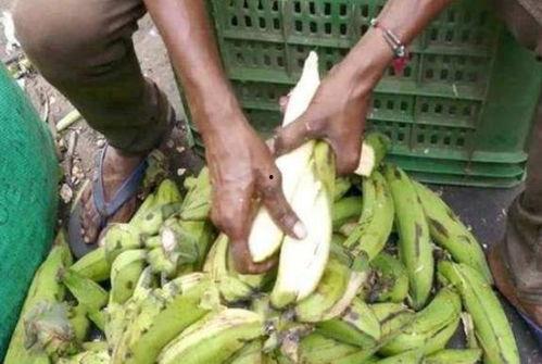 印度大妈吃大蒲瓜