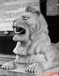 泉州石狮吃瓜事件,一场网络热议背后的真相与反思