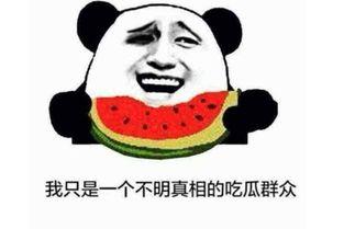 吃瓜路过的意思,吃瓜路人视角下的娱乐圈风云录