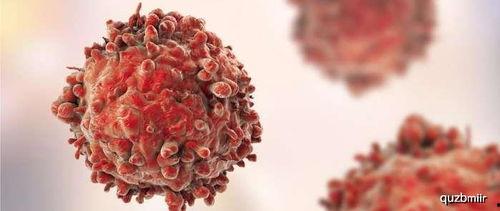 天天吃角瓜容易得癌吗,真相揭秘