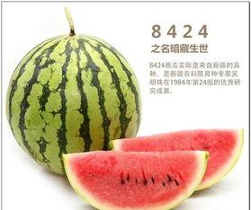 韩国吃瓜自由吗