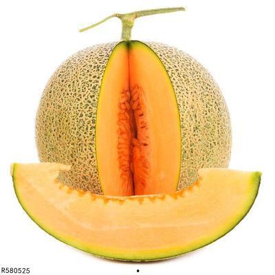 中午吃哈密瓜,哈密瓜的甜蜜邂逅