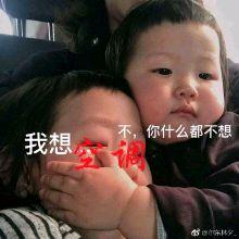 吃瓜郑团团,揭秘娱乐圈背后的故事与真相